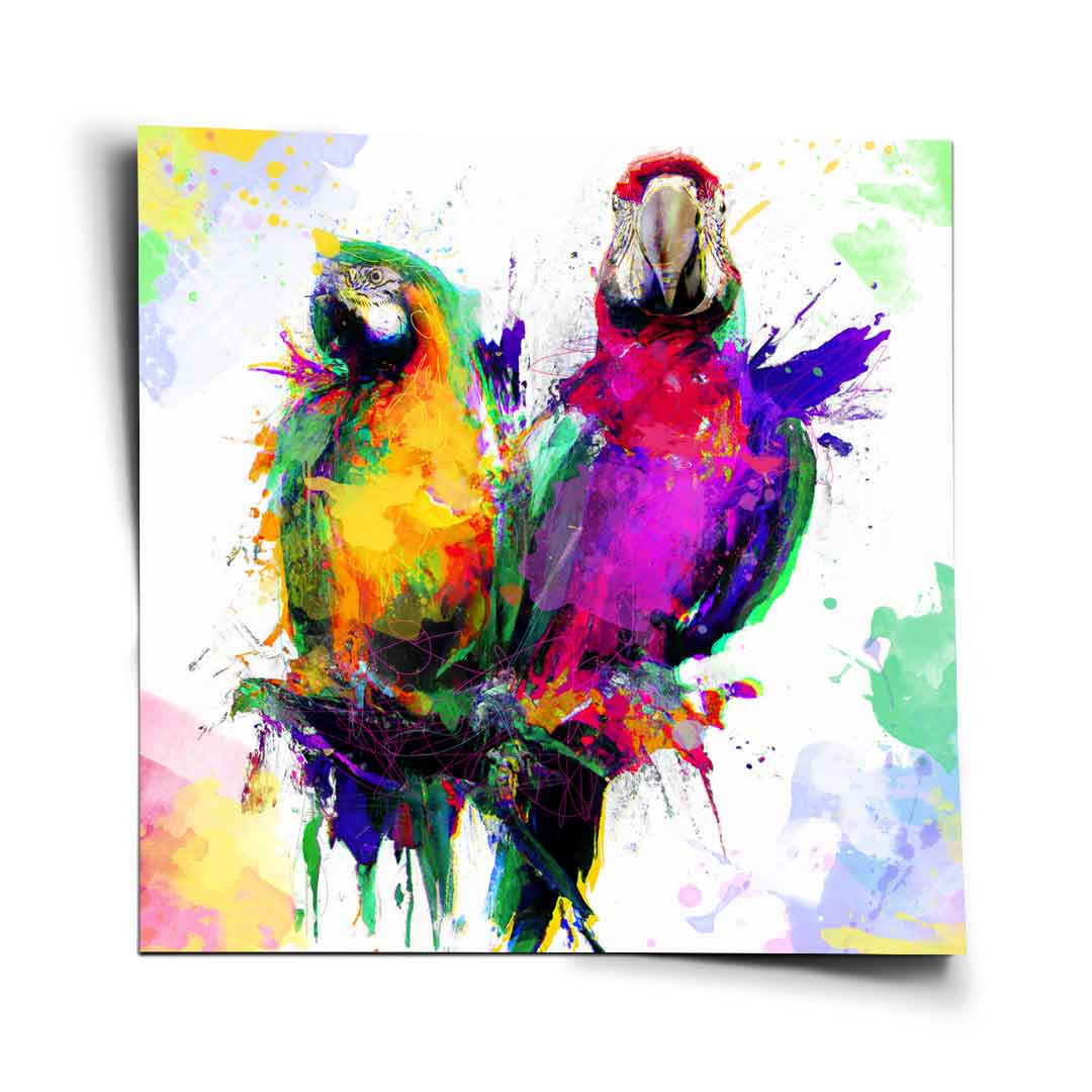 Colorful Parrot - Poster
