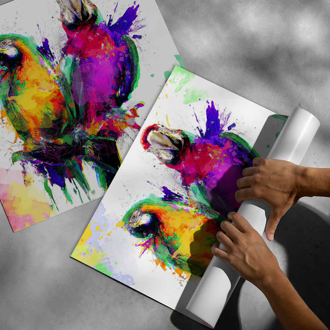 Colorful Parrot - Poster