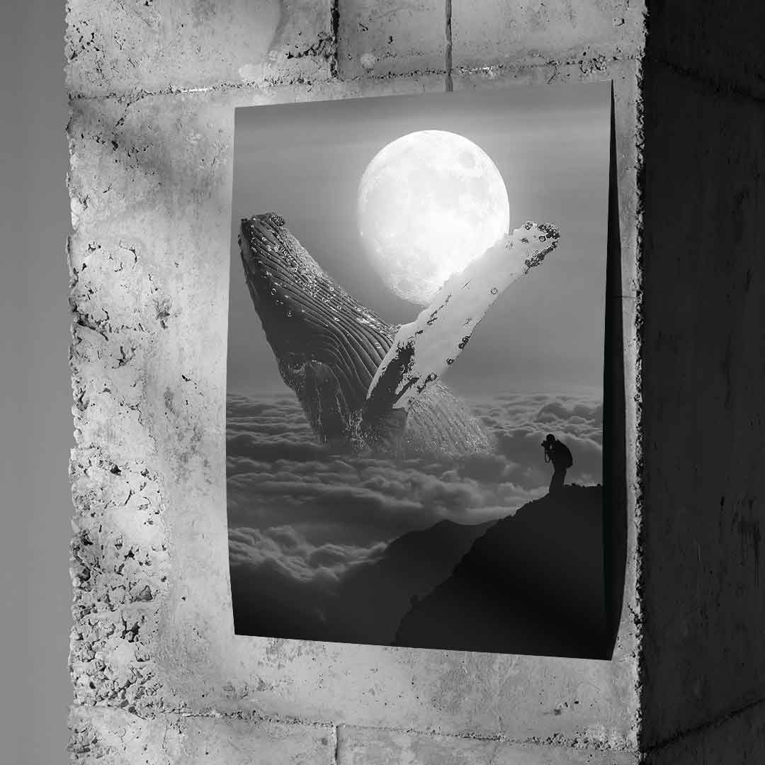 Freedom Wale - Poster