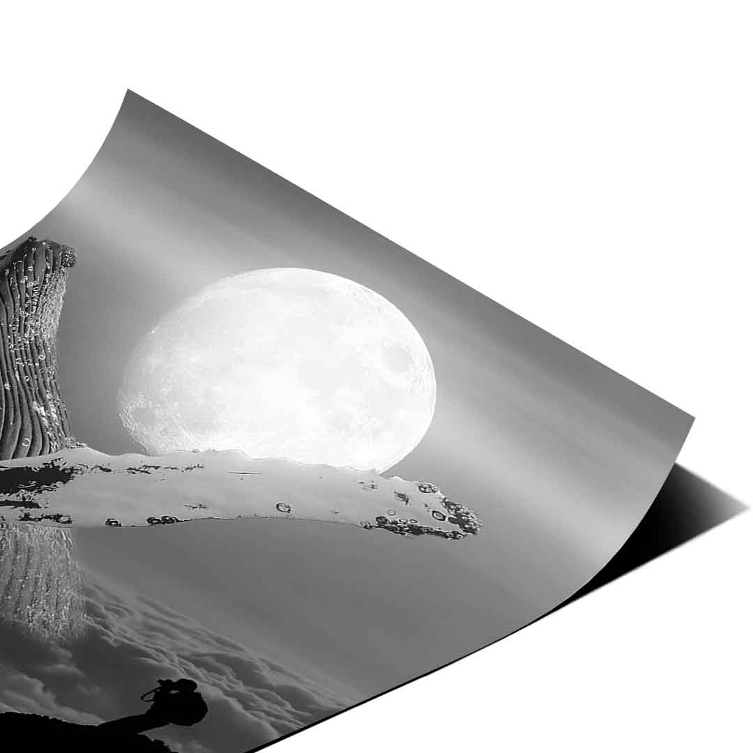 Freedom Wale - Poster