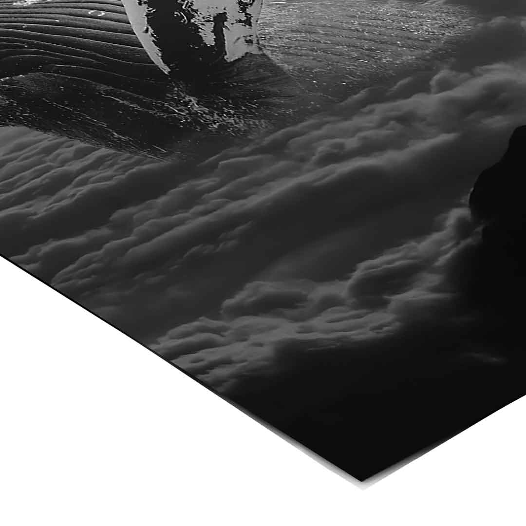 Freedom Wale - Poster