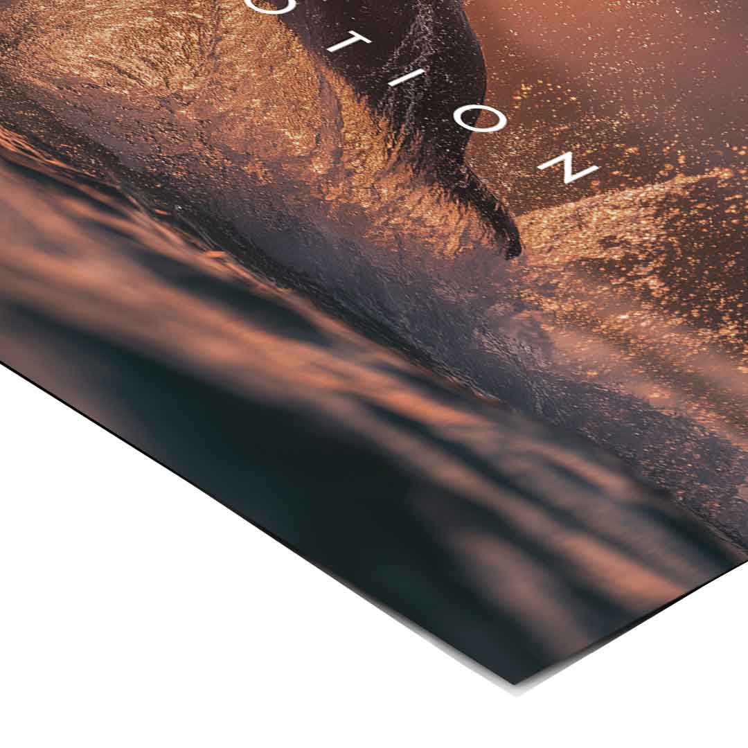 Wolność w ruchu - Plakat