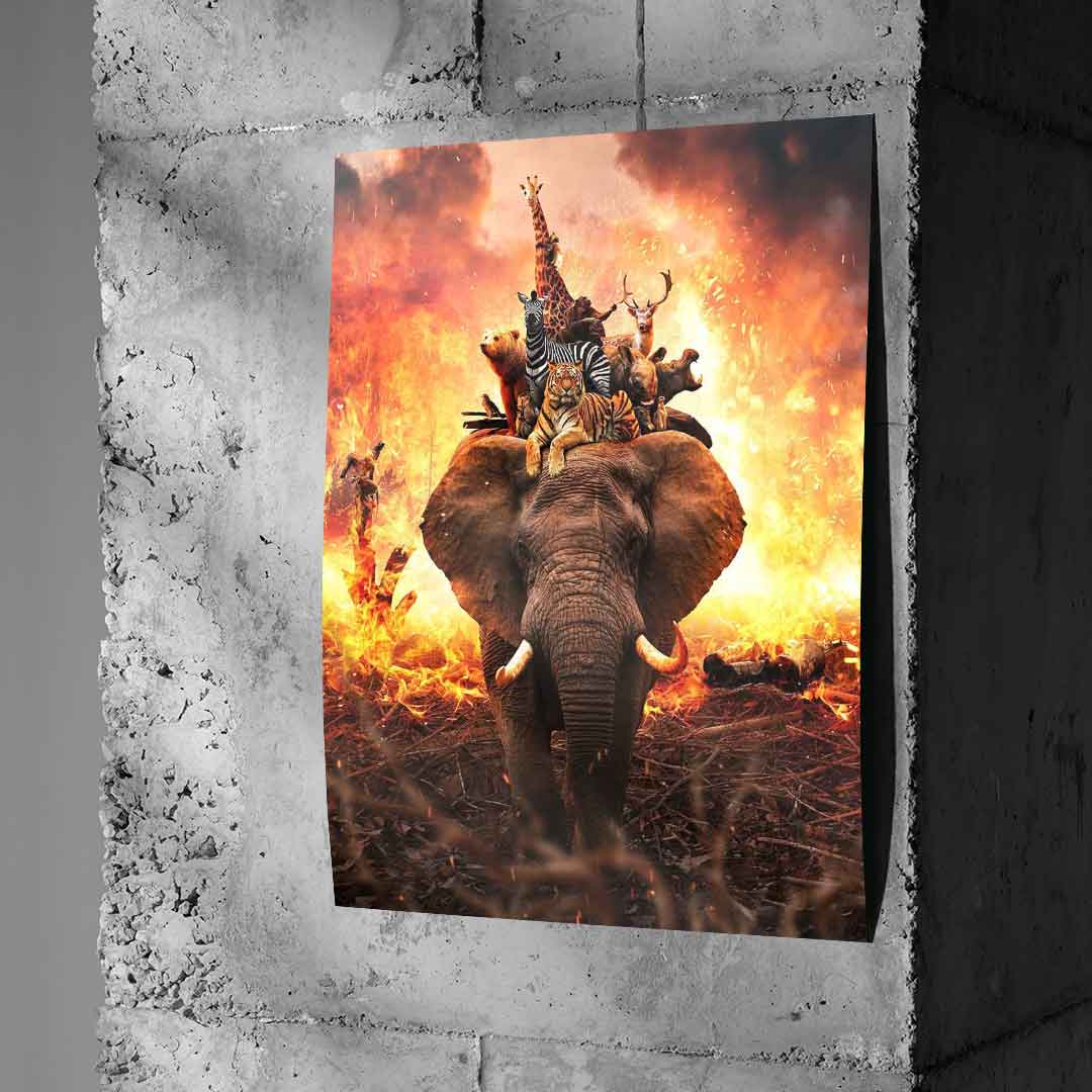 Hard Animal Life - Poster