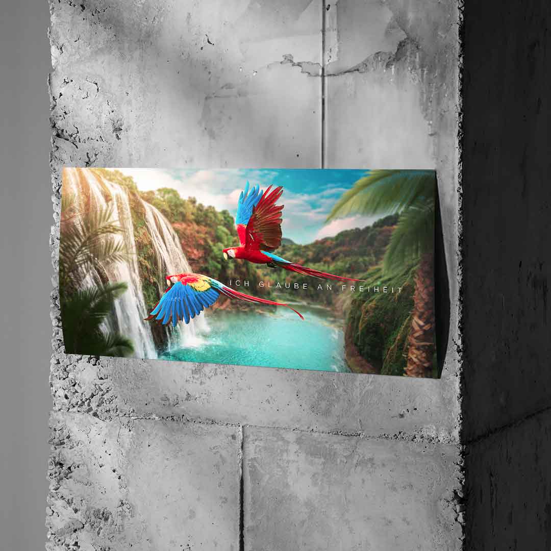 I BELIEVE IN FREEDOM - Poster