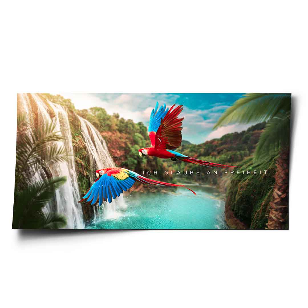 I BELIEVE IN FREEDOM - Poster