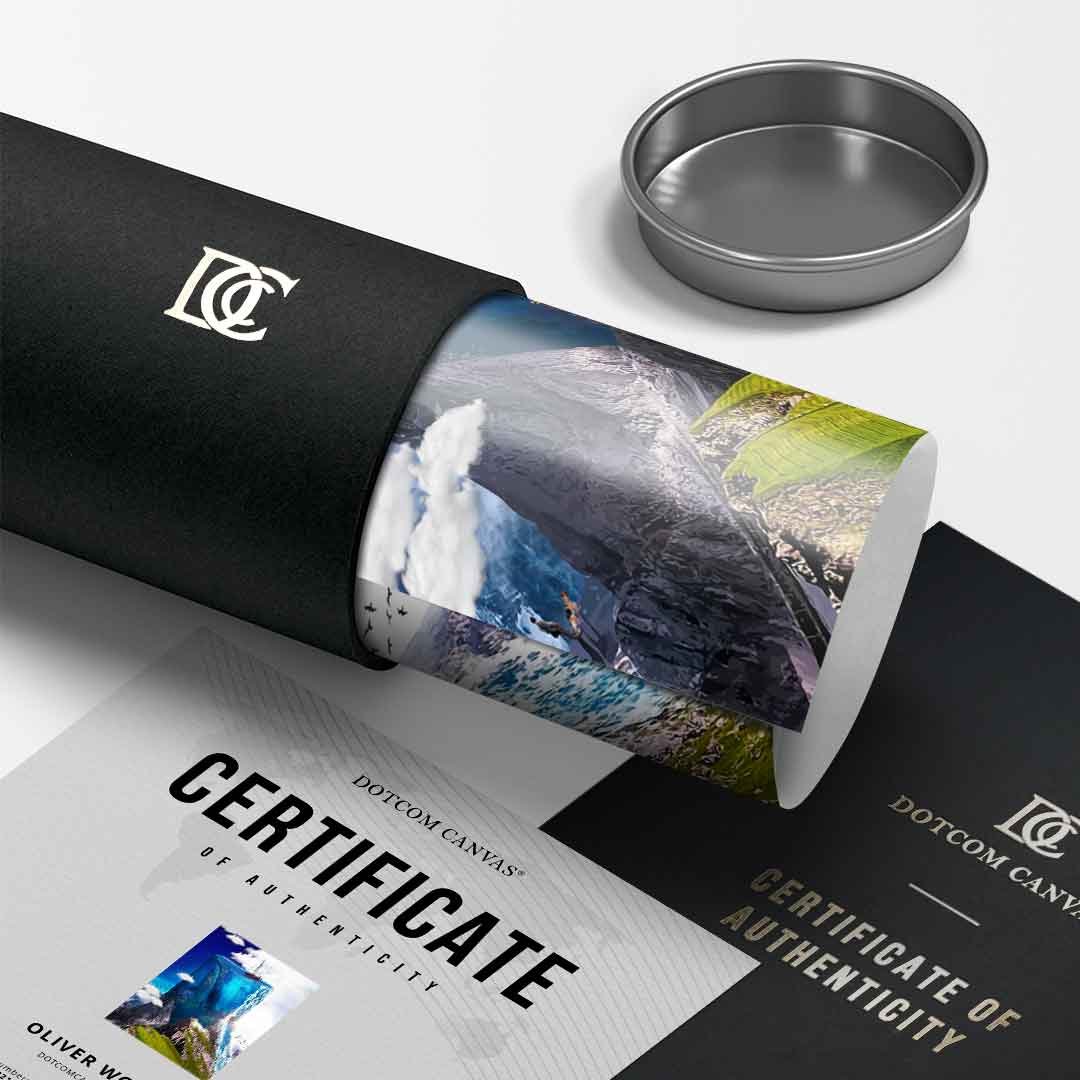 Meaning of Freedom - Poster