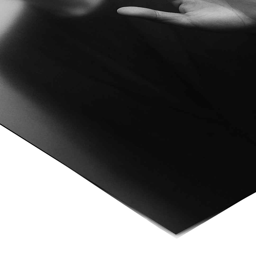 Musk's Silhouette - Poster