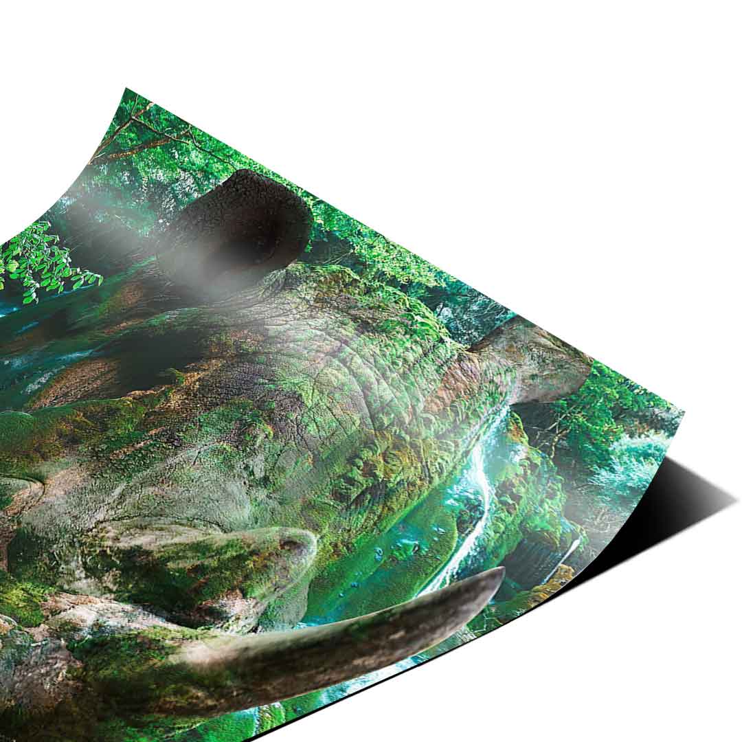Nashorn Natura - Plakat