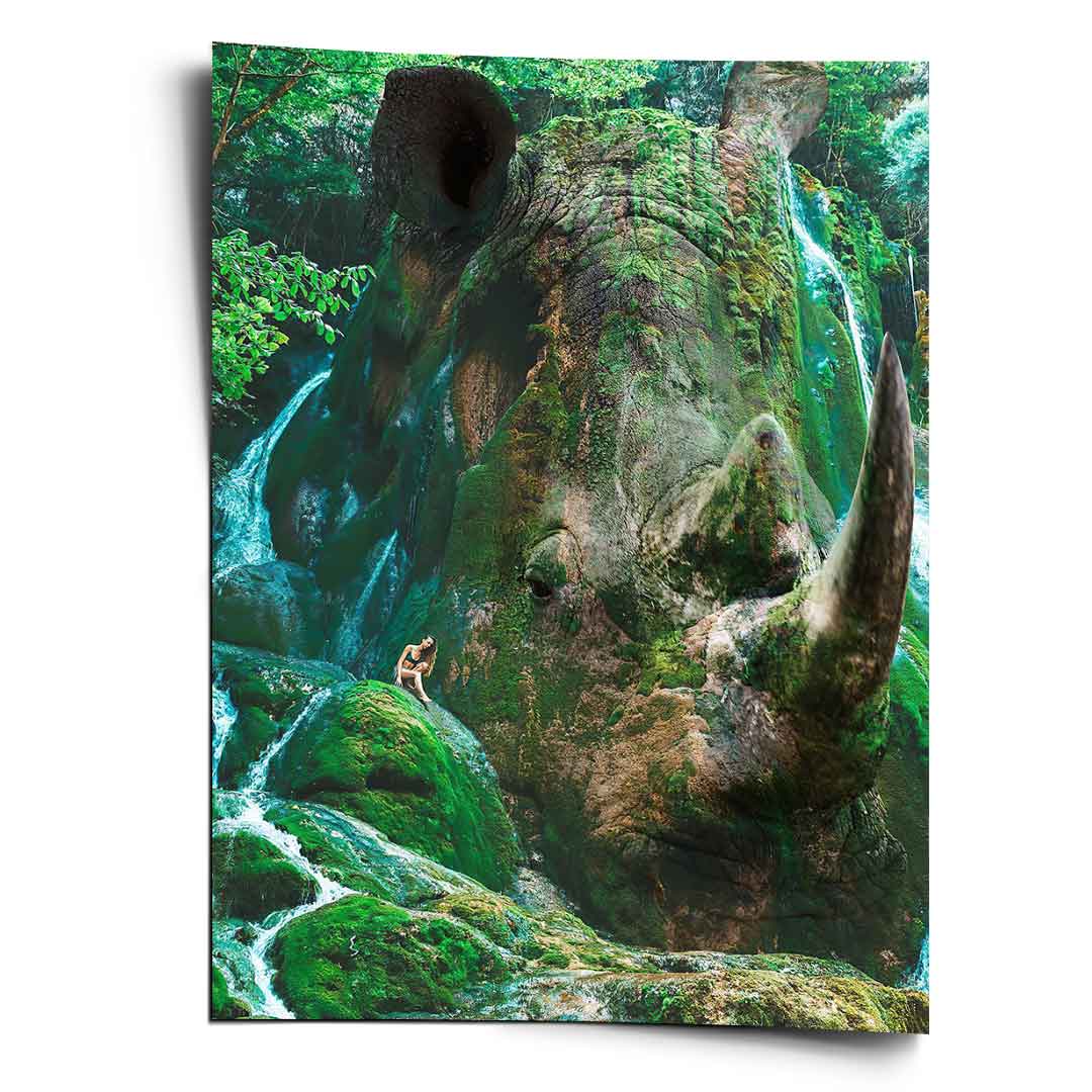 Nashorn Nature - Poster