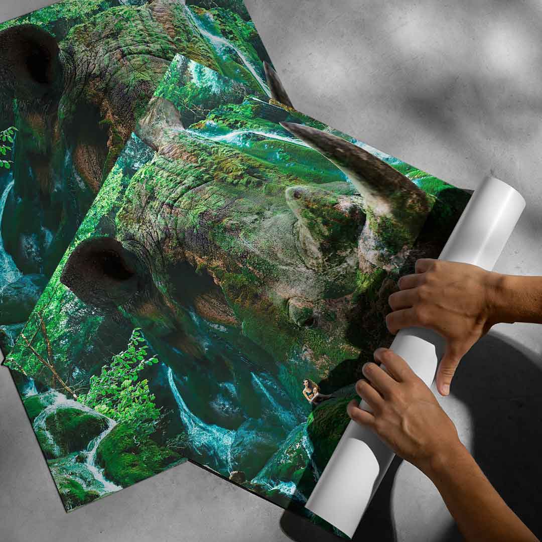 Nashorn Nature - Poster