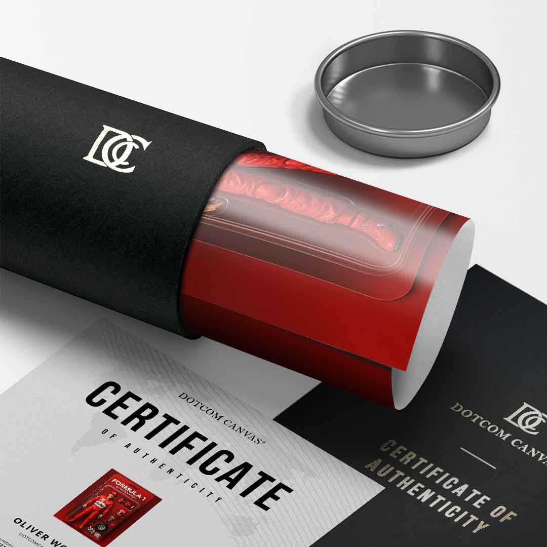 Starter Pack FORMULA 1 - Poster