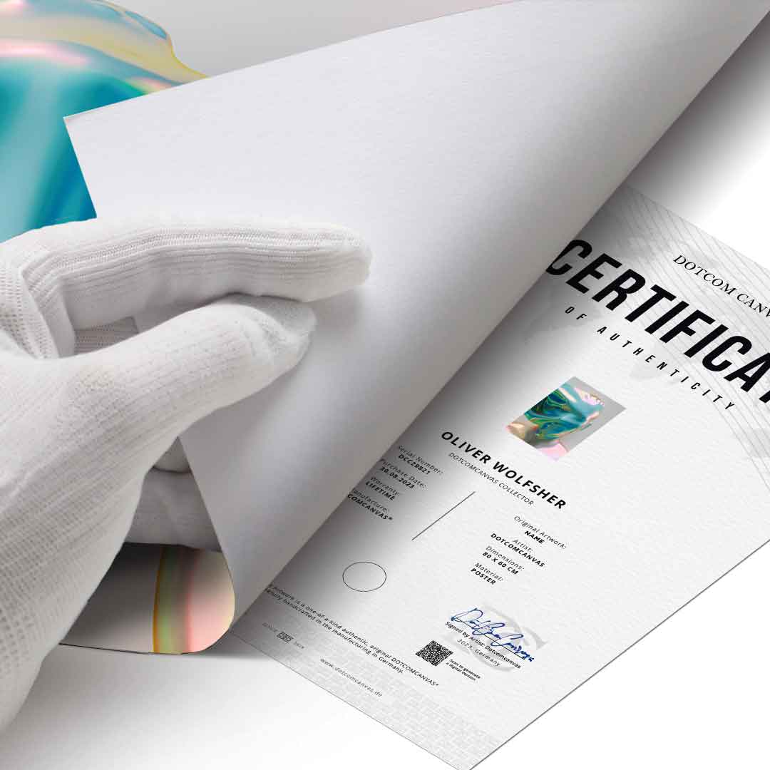 Veil of Illusions - Poster