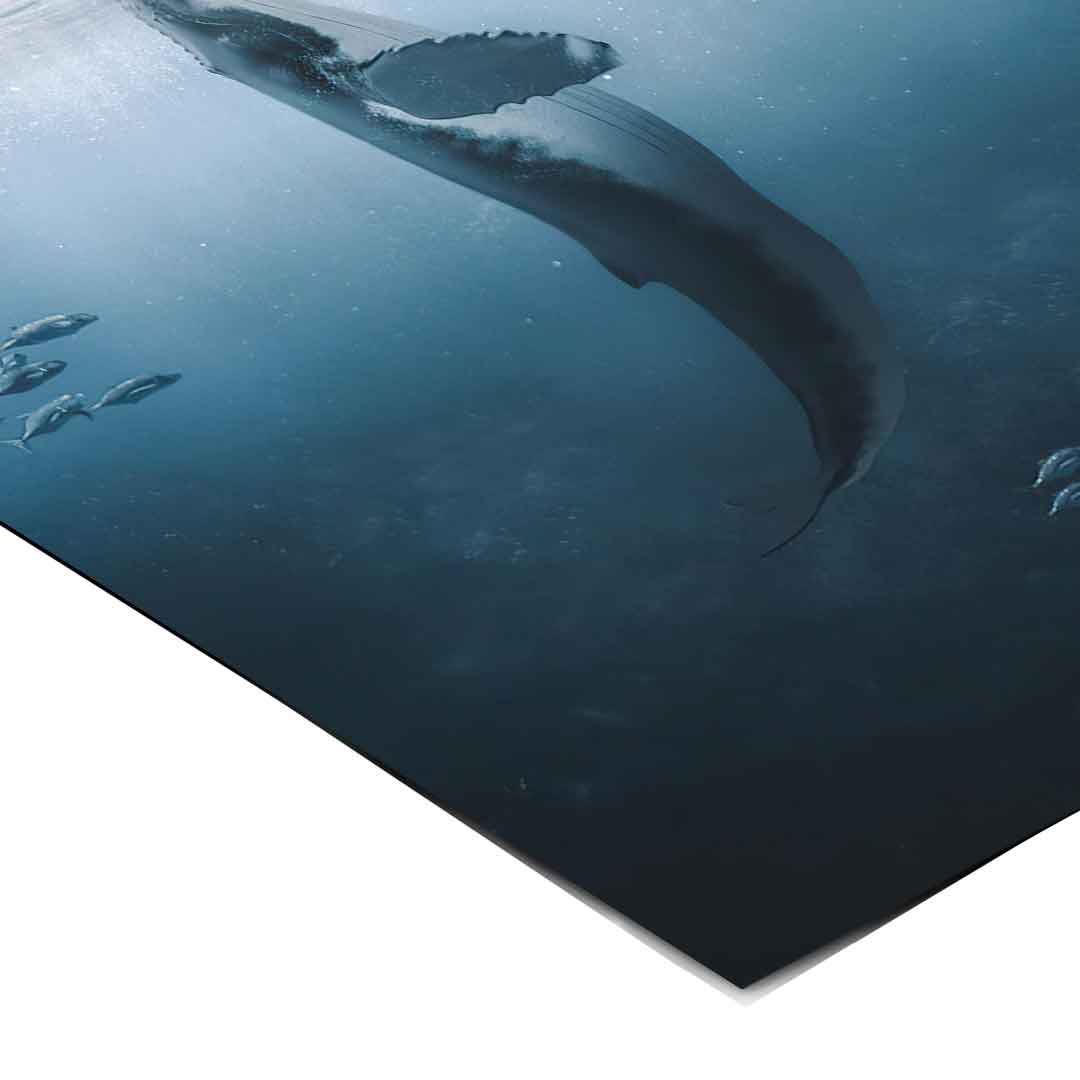 Walangeln - Poster