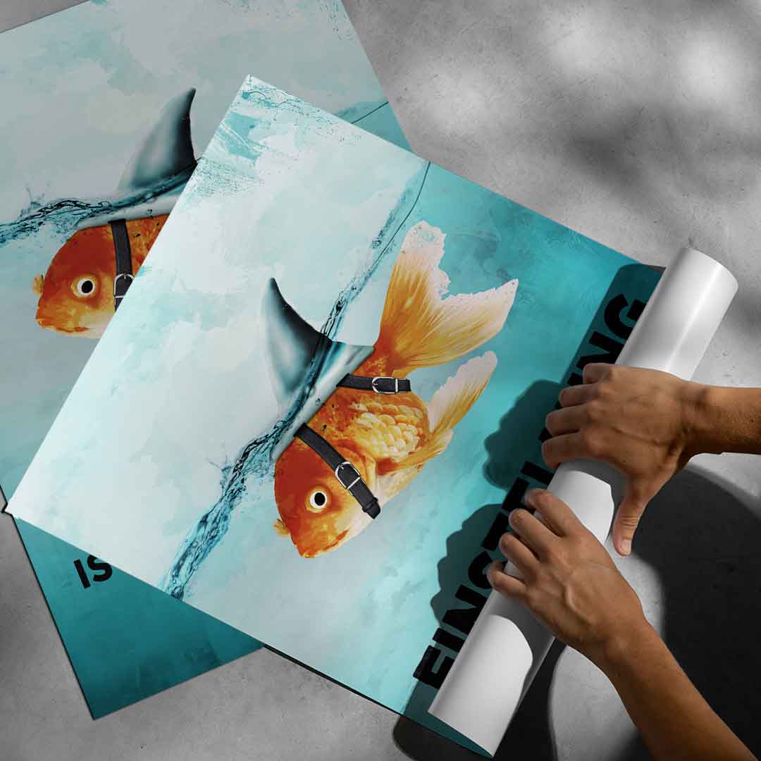 Mindset is everything #Goldfish - Poster