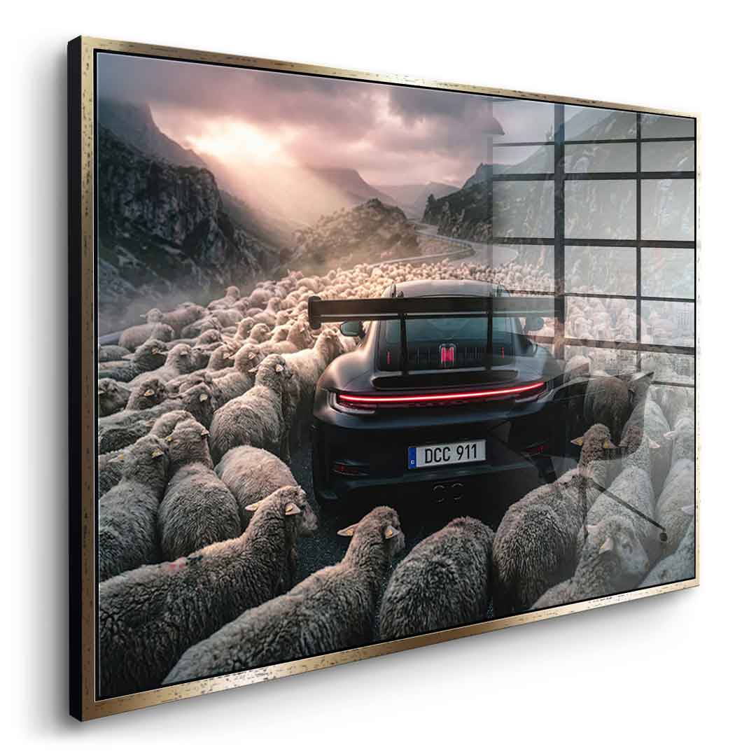 Porshe & Sheeps Acrylglasbild Seitenansicht silber