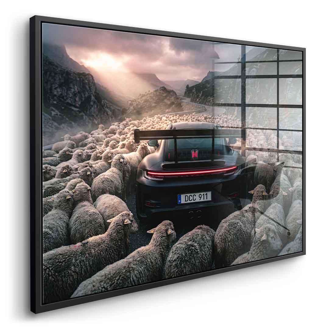 Porshe & Sheeps Acrylglasbild Seitenansicht schwarz