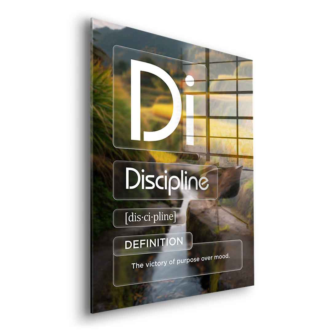 DOTCOMCANVAS® Discipline (Di) Acrylglasbild Version Farbig – Seitenansicht Silber