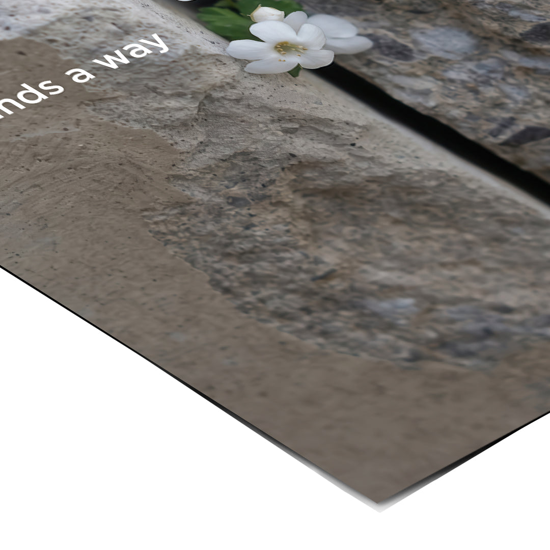 DOTCOMCANVAS Life finds a way Poster Detailansicht