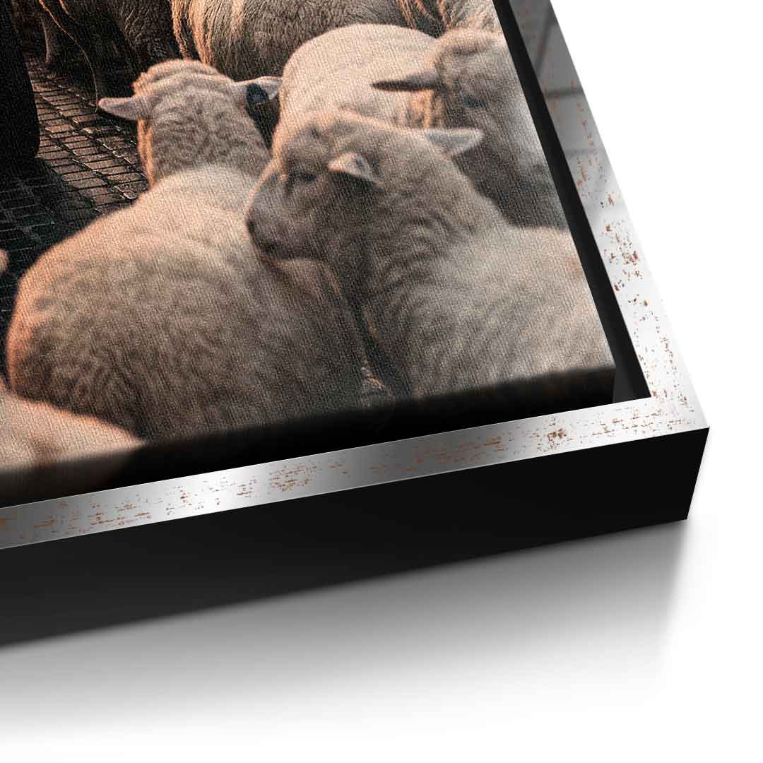DOTCOMCANVAS Rolls Roys & Sheeps Leinwandbild Detailansicht silberner Rahmen