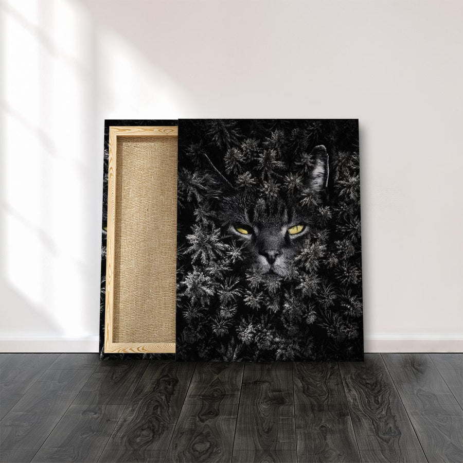 Catslife