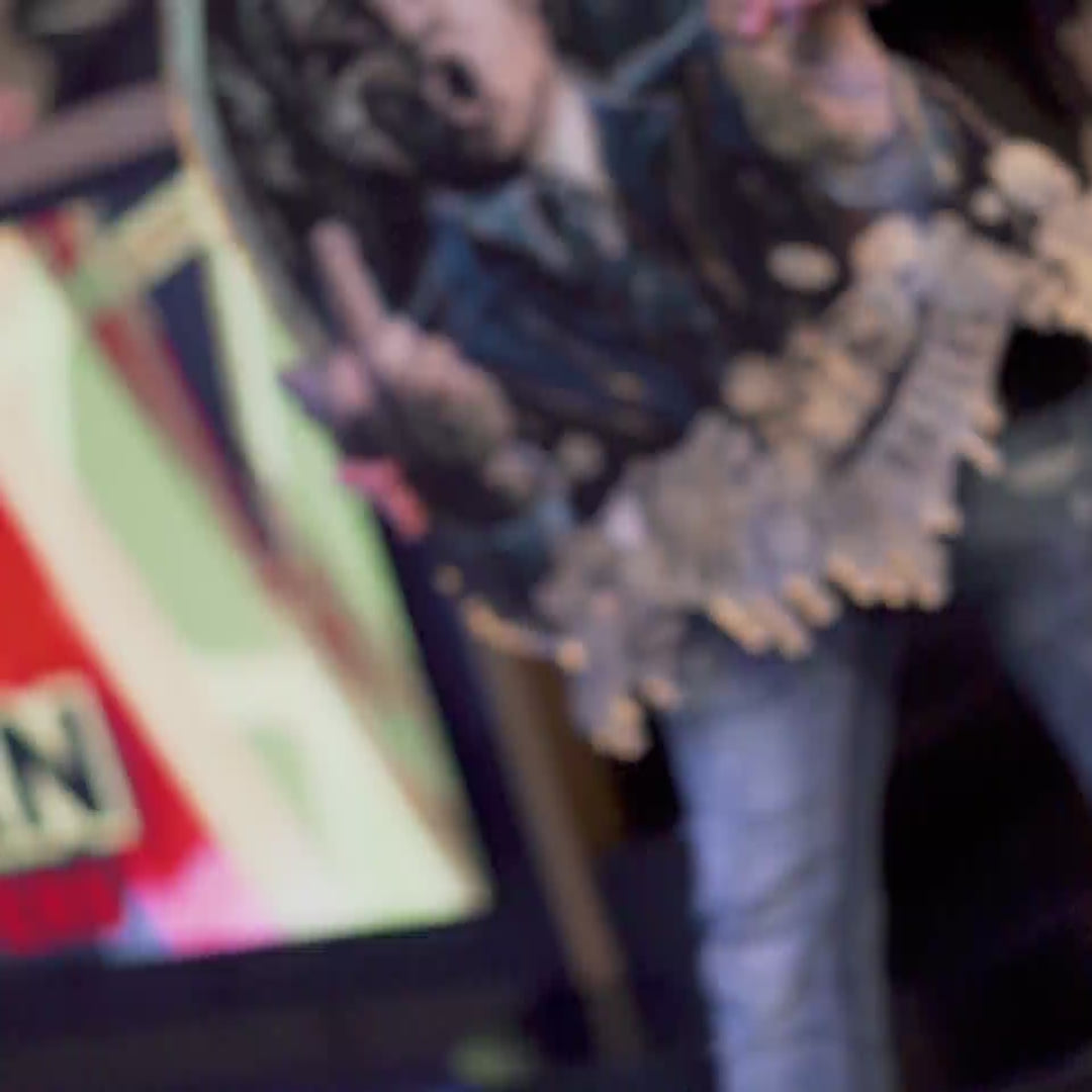 Load video: Wall sculpture Royal American Canvas - Acrylic glass