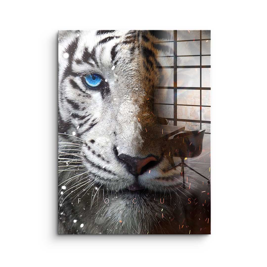 Focus Face - Acrylglas