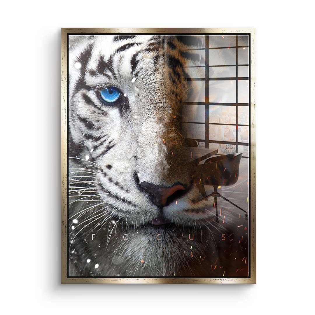 Focus Face - Acrylglas