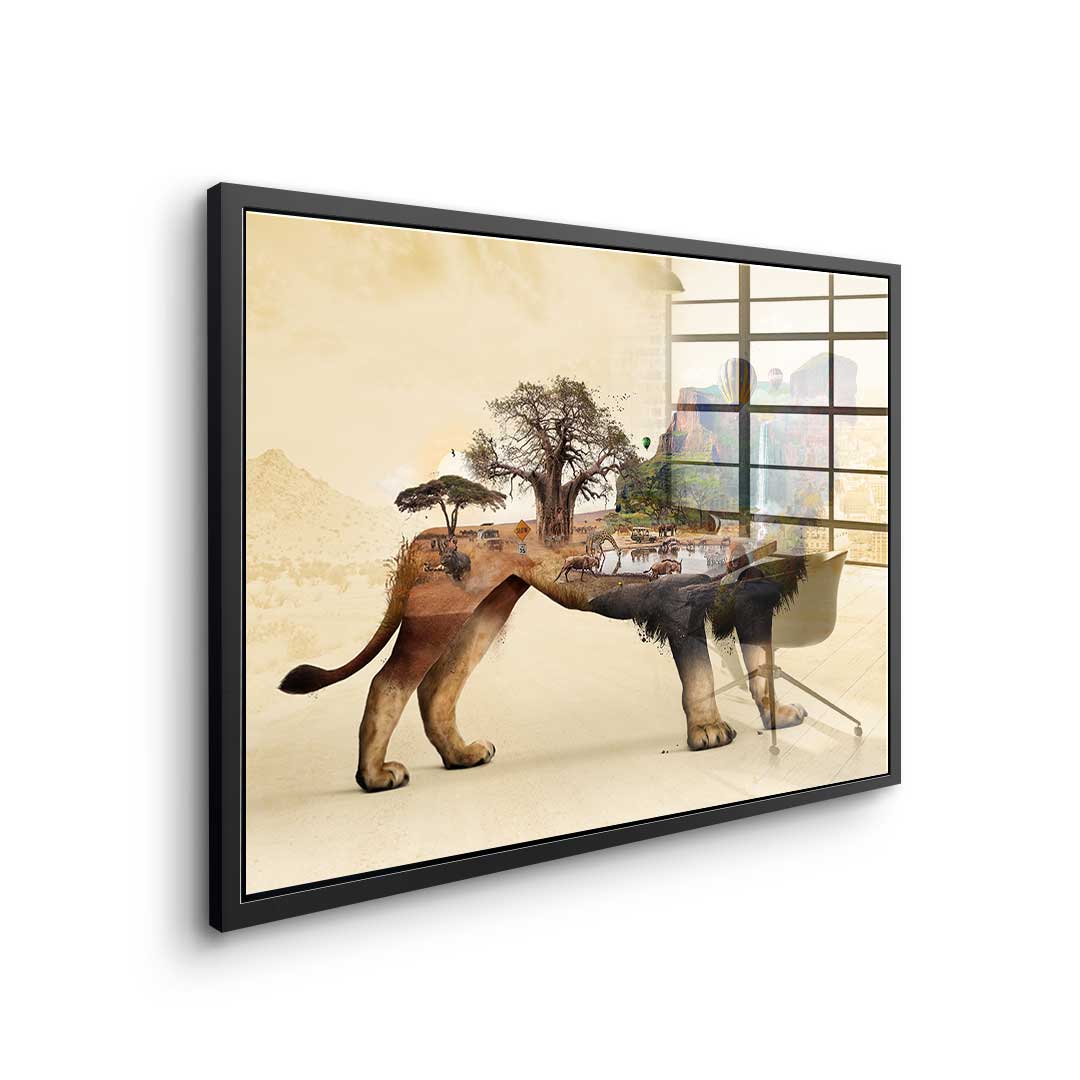 The Lion's Life - Acrylic Glass