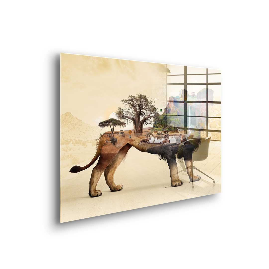 The Lion's Life - Acrylic Glass