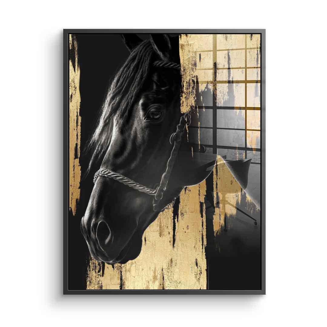 Luxury Horse - Acrylic glass
